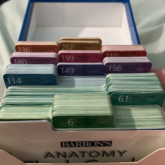 Anatomy study flash cards 🃏 and CD Module - Picture 2 of 5